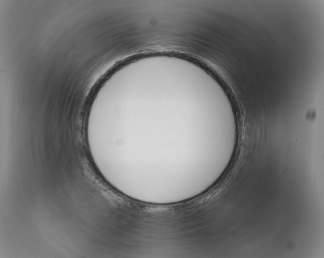 X0000112431023200909041431