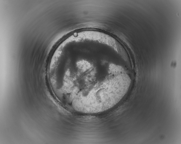 X0000112431024200909041431