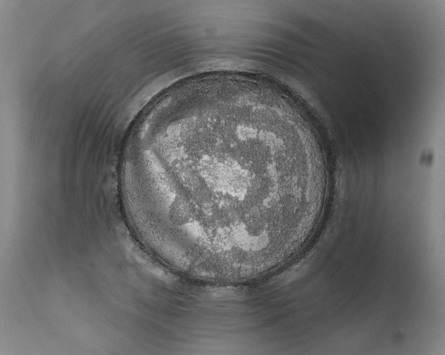 X0000112431025200909041431