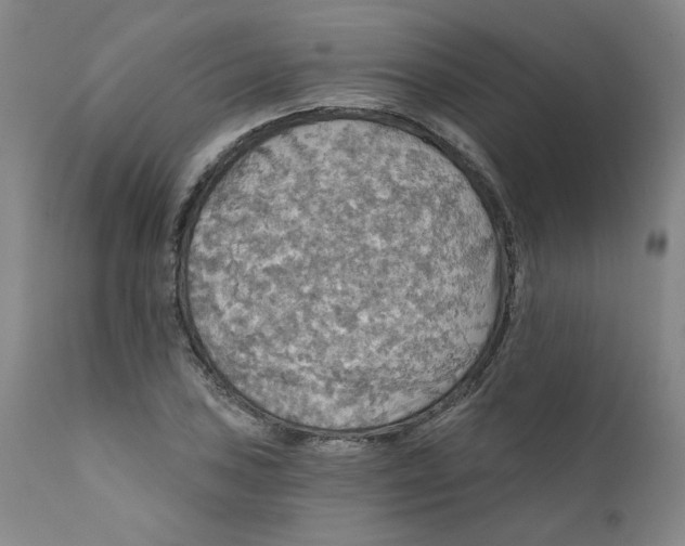 X0000112431027200909041431