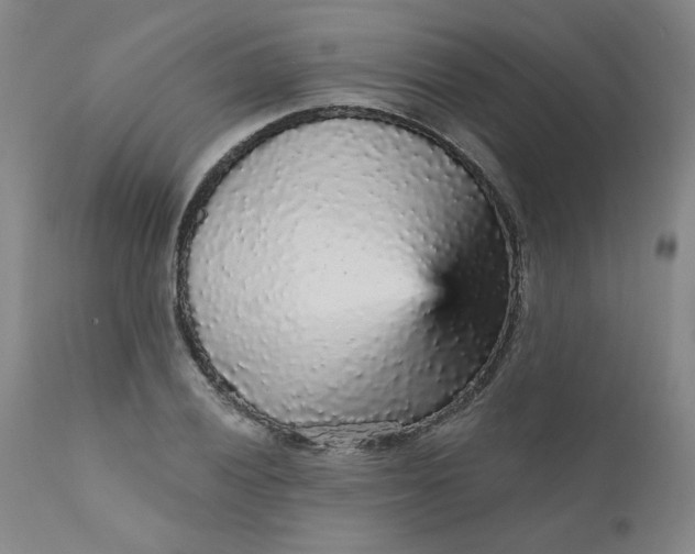 X0000112431028200909041431