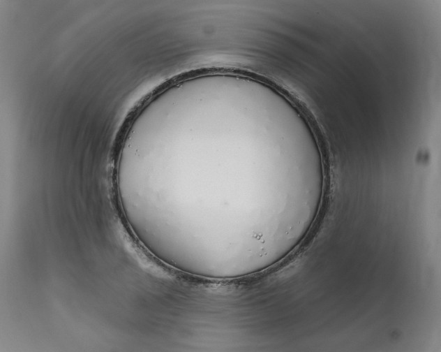 X0000112431029200909041431