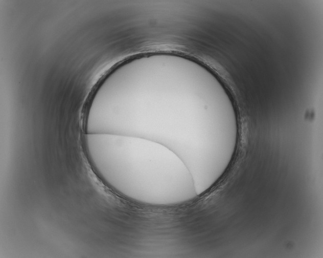 X0000112431031200909041431