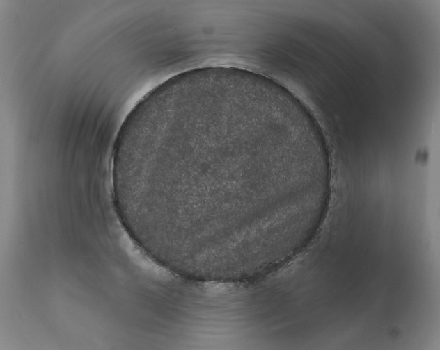 X0000112431032200909041431