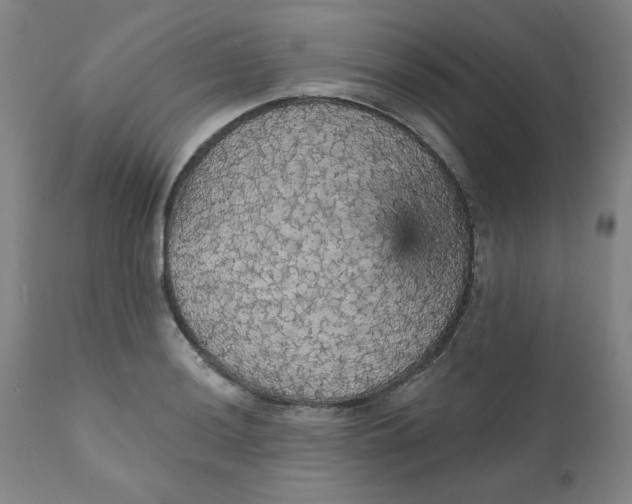 X0000112431036200909041431