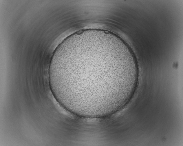 X0000112431041200909041431