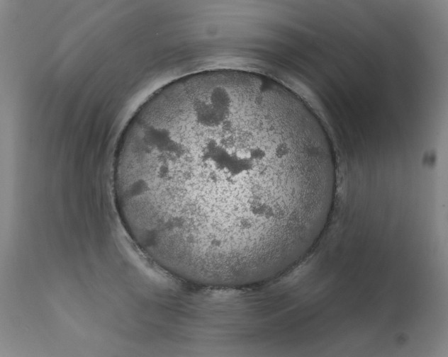 X0000112431043200909041431