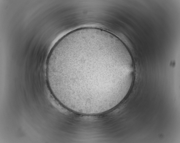 X0000112431044200909041431