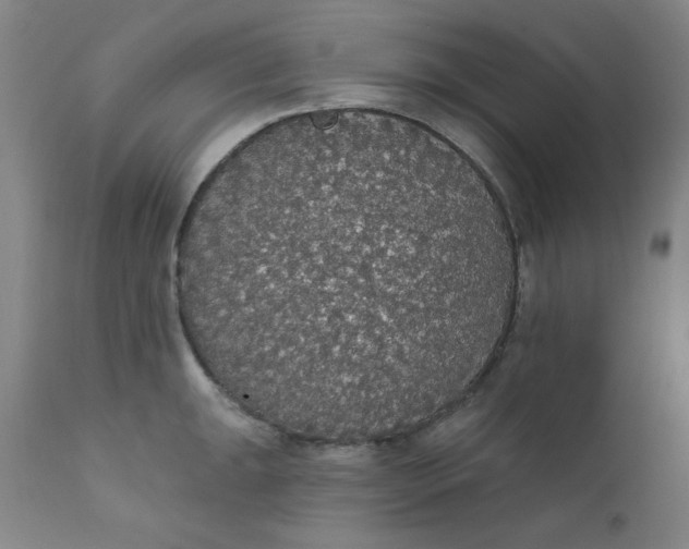 X0000112431047200909041431