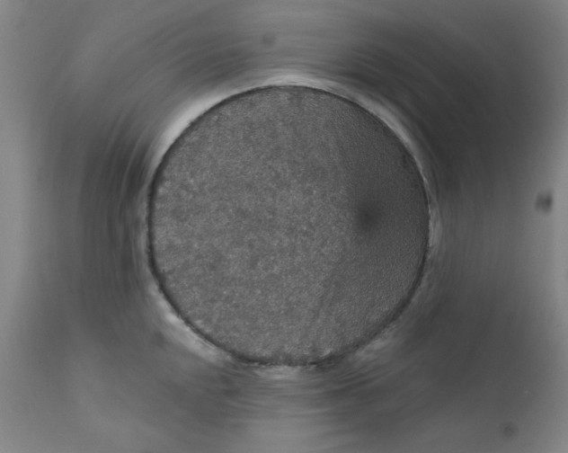 X0000112431048200909041431