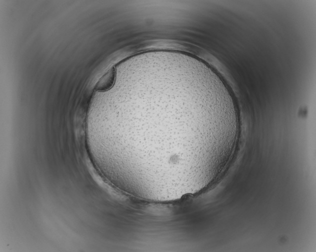 X0000112431049200909041431