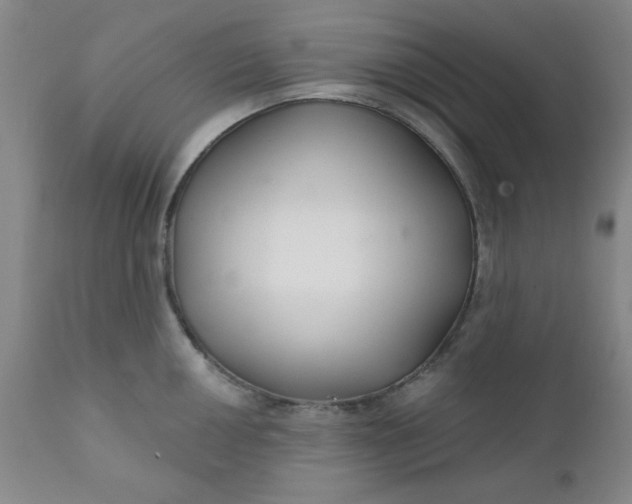 X0000112431050200909041431