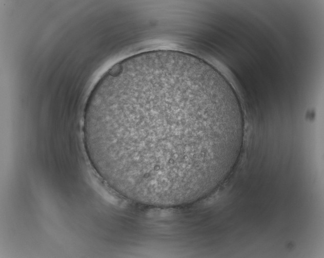 X0000112431051200909041431