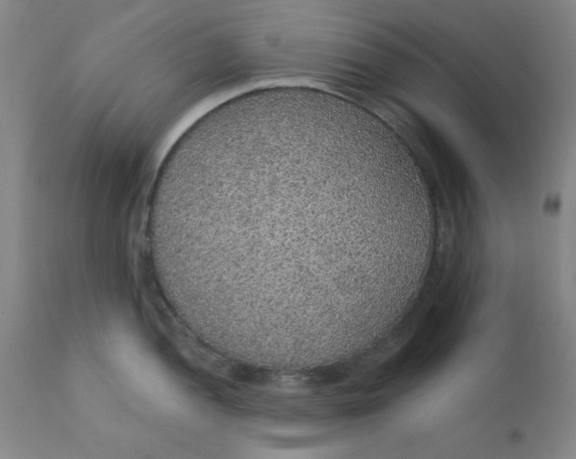 X0000112431052200909041431