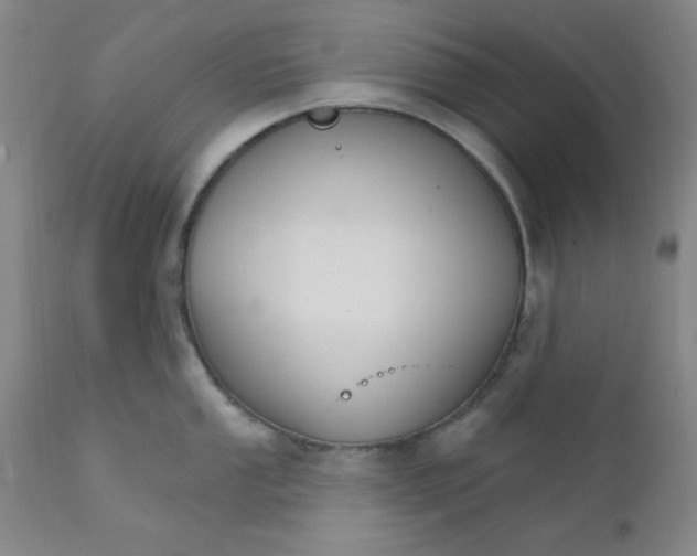 X0000112431053200909041431