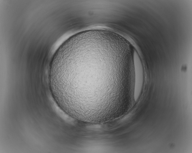 X0000112431054200909041431