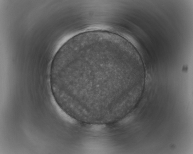 X0000112431055200909041431