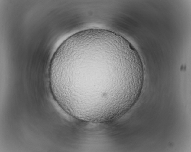 X0000112431056200909041431