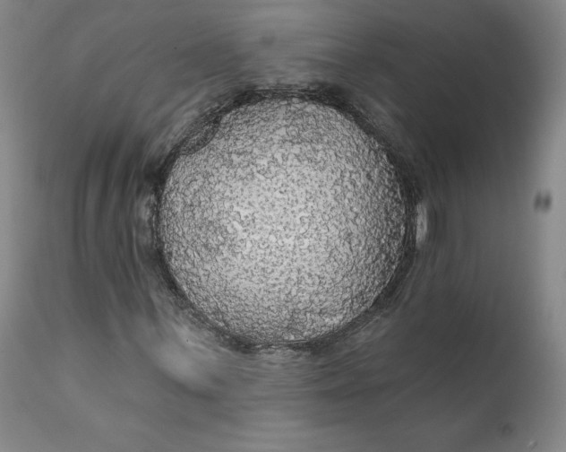 X0000112431059200909041431