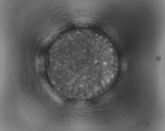 X0000112431060200909041431