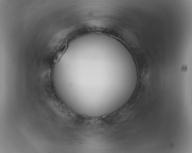 X0000112431061200909041431