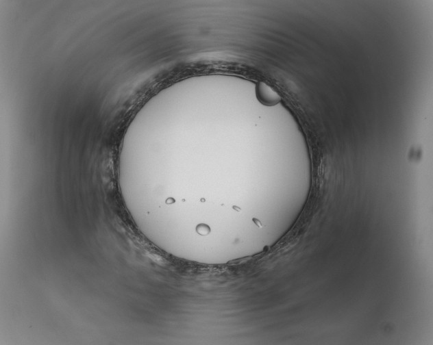 X0000112431062200909041431