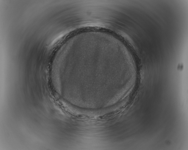 X0000112431064200909041431