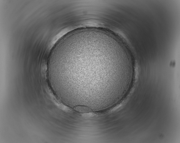 X0000112431065200909041431