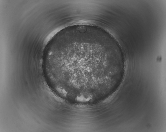 X0000112431066200909041430