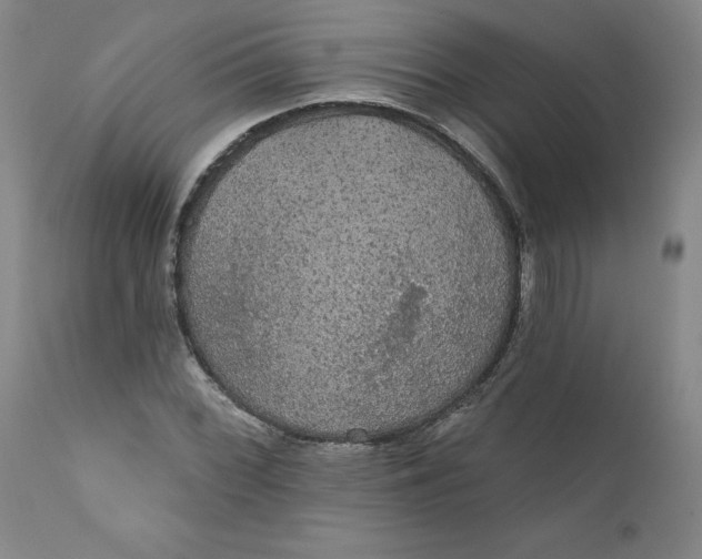 X0000112431068200909041430