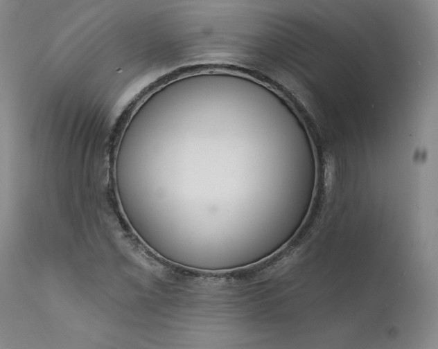 X0000112431069200909041430