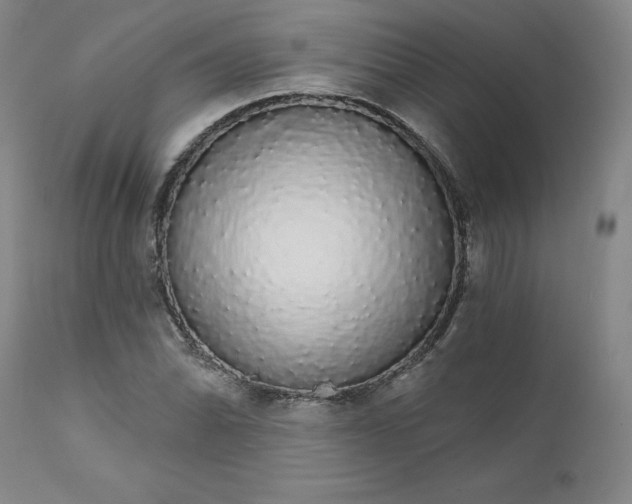 X0000112431070200909041430