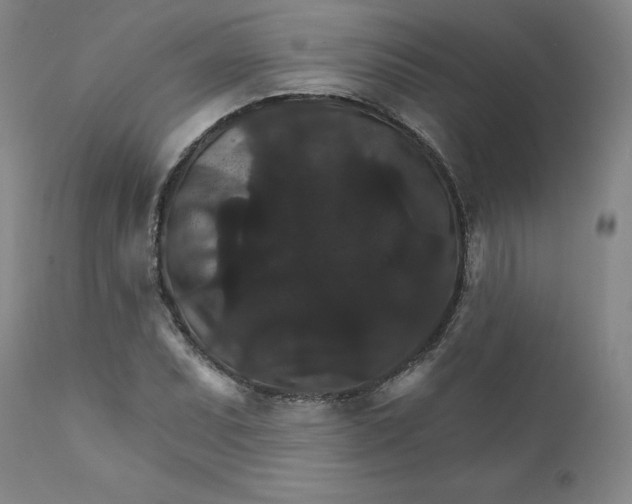 X0000112431071200909041430