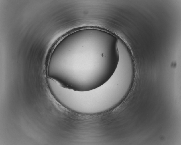 X0000112431072200909041430