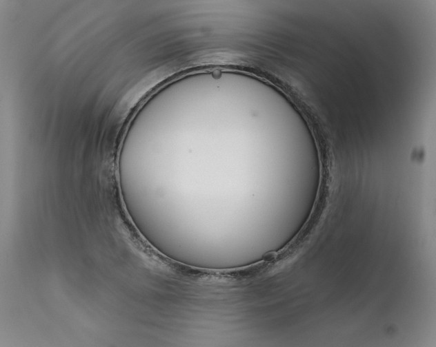 X0000112431073200909041430