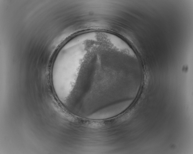 X0000112431074200909041430