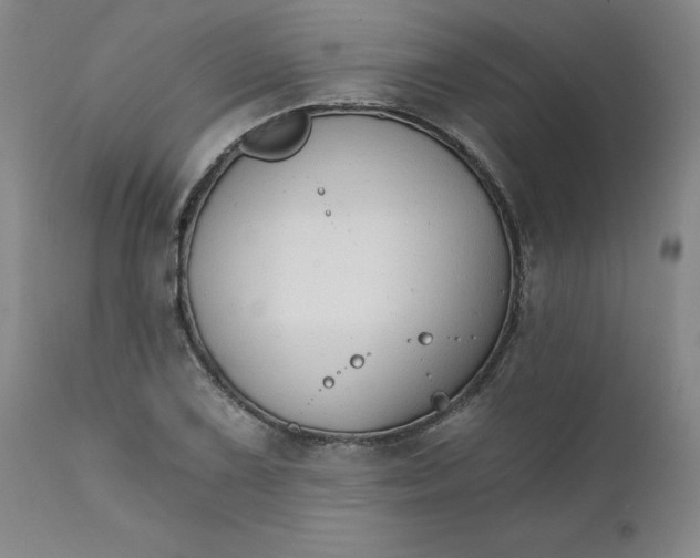 X0000112431075200909041430