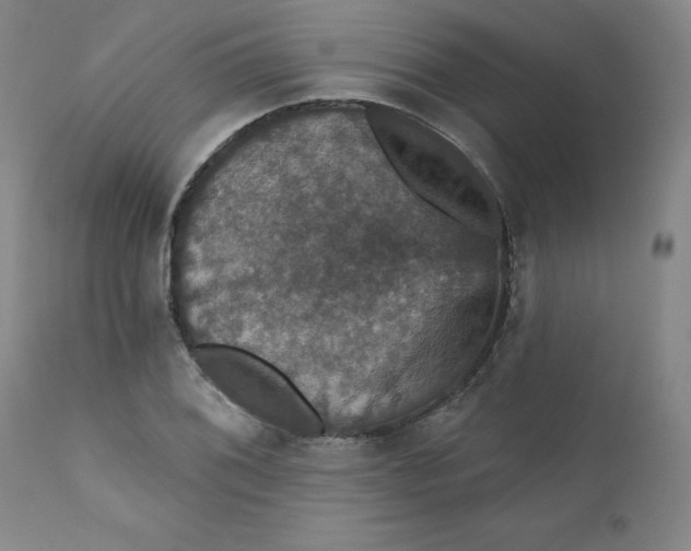 X0000112431076200909041430