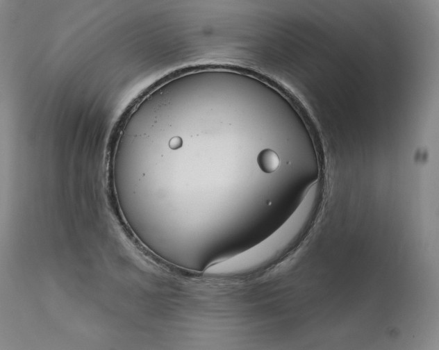 X0000112431077200909041430