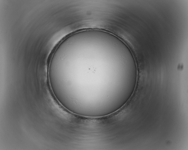 X0000112431079200909041430