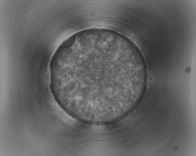 X0000112431080200909041430