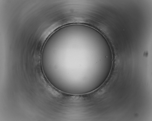 X0000112431081200909041430