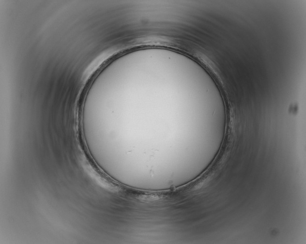 X0000112431082200909041430