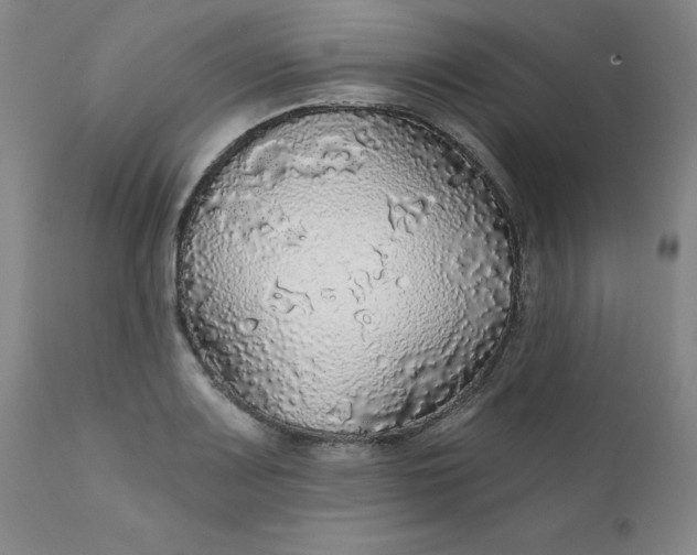 X0000112431083200909041430