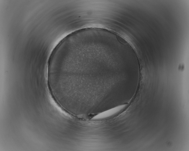 X0000112431084200909041430