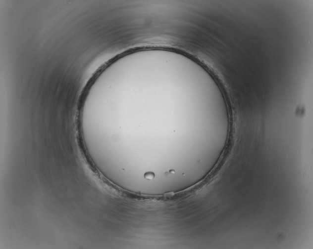 X0000112431085200909041430