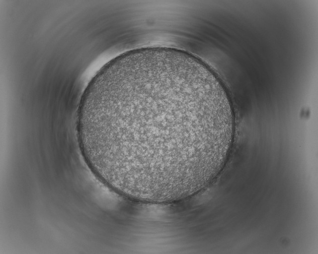 X0000112431086200909041430