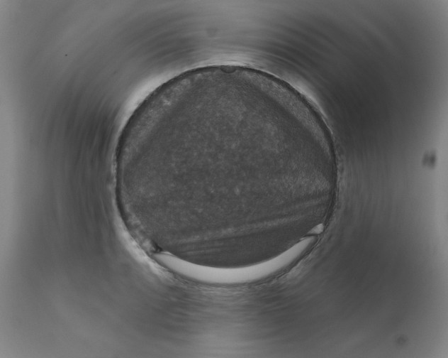 X0000112431088200909041430