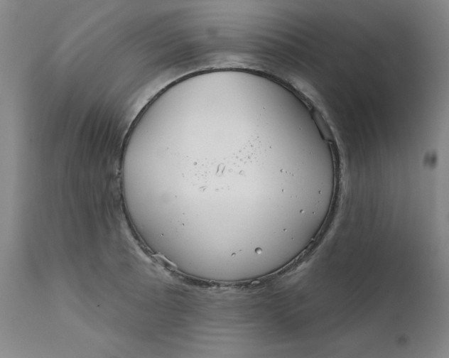 X0000112431089200909041430