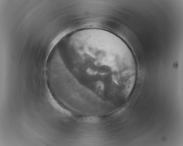 X0000112431090200909041430